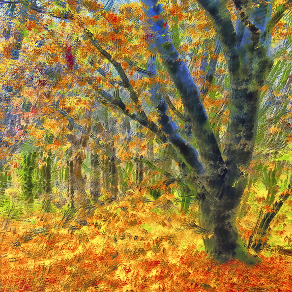 Autumn Woodland_John Linehan - John Linehan.jpg
