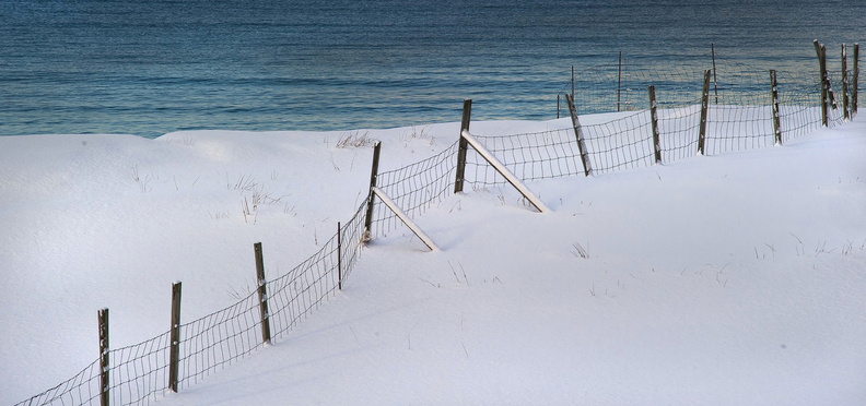 The Fence Lucia Creedon - Lucia Creedon